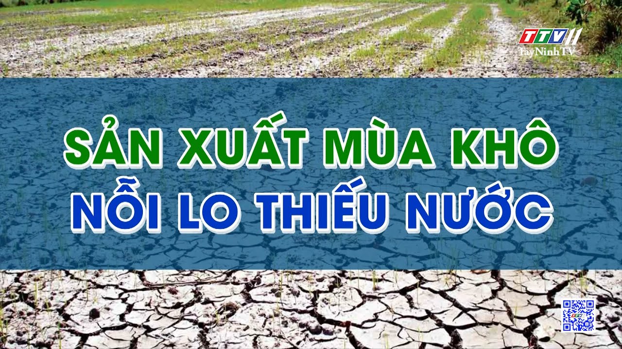 Sản xuất mùa khô - Nỗi lo thiếu nước | Tiếng nói cử tri | TayNinhTV